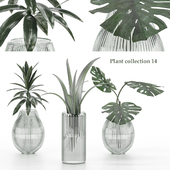 plant collection 15
