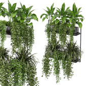 indoor hanging plants in metal box_set 175