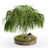 Outdoor Plant Set 004-Weeping Willow Tree Garden Design