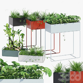 Fe plant box