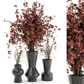 Indoor Plants in rusty Concrete Pots - Set 444