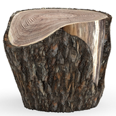 Stump cut from pine