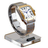 Store Display / Cartier / Wristwatch Santos 01