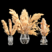 Dry Plants Bouquet Pampas Indoor Glass vase