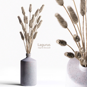 Organic bouquet Lagurus