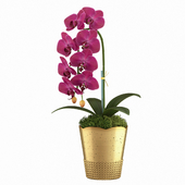 Orchid in Gold Mercury Container