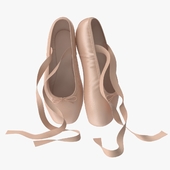 Ballet Shoes - Resting
