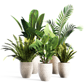 indoor Plant Set01