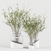 Bouquet Collection 04 - Decorative Branches in Glass Vases