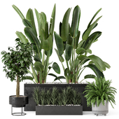 Indoor Plants in rusty Concrete Pot-Set 591