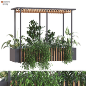 indoor plant set 278