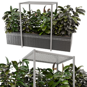 Indoor Hanging Plants in Metal Box - Set 601