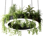 Ring lamp planter with plants