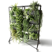 Mobile rack with plants
