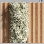 Wooden_planks_and_vertical_garden_05(White_vertical_garden)