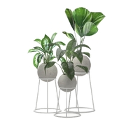 Plant_Indoor_01