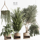 Indoor Plant Set 57