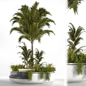seat and indoor plants(corona)