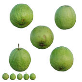 Guava