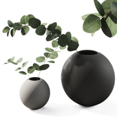 020 Eucalyptus branches in ball vase
