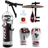 Boxing bag and gloves set from ROX