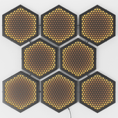 RIDS2.0 Graphite Light panel Hexagon