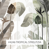 Creativille | Wallpapers | 4246 Tropical Strelitzia