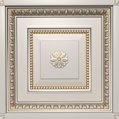 Classic Modern coffered ceiling