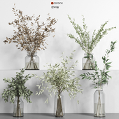 collection of indoor plants Vol01