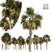 Low poly palmetto trees cluster