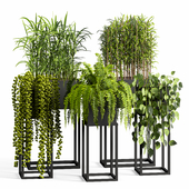 indoor Plant Set05