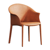 Leisure chair dining chair