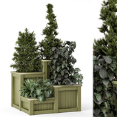 Outdoor Plants in Wooden Pots - Set 875