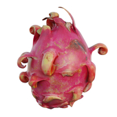 dragon fruit 09