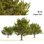 3 Apple trees with apple fruits