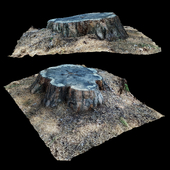 Stump 001