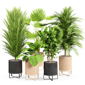 indoor Plant Set06