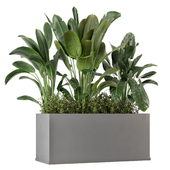 Outdoor Plants in Concrete Pot -Set 922