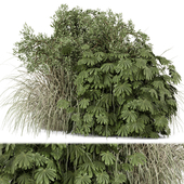 Outdoor Plants Bush -Bush Set 924