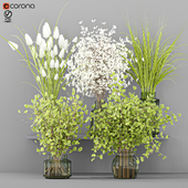 Collaction_Plants_Bouquet01