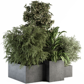 Plant Box - Outdoor Plants 438