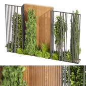 Collection plant vol 371 - Urban environment - wall yard - leaf - pine