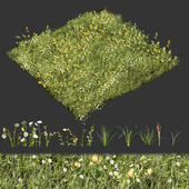 Collection plant vol 374 - grass - leaf - flower
