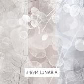 Creativille | Wallpapers | 4644 Lunaria