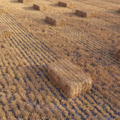 Farm field with hay bale 2