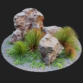 Rocks and plants