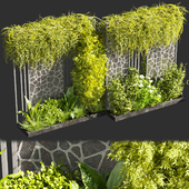 Collection plant vol 379 - Urban environment - wall yard - leaf - bush - ivy