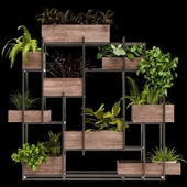 Stand Of Plants With Wood Boxes