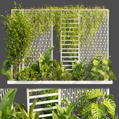 Collection plant vol 382 - Urban environment - wall yard - leaf - bush - ivy