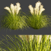 Collection plant vol 385 - grass - outdoor - foliage